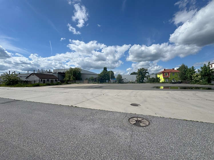 Prodej specifického typu nemovitosti 3 882 m² - foto 1