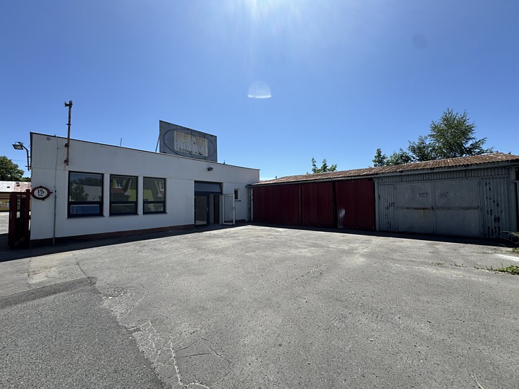 Prodej specifického typu nemovitosti 3 882 m² - foto 4