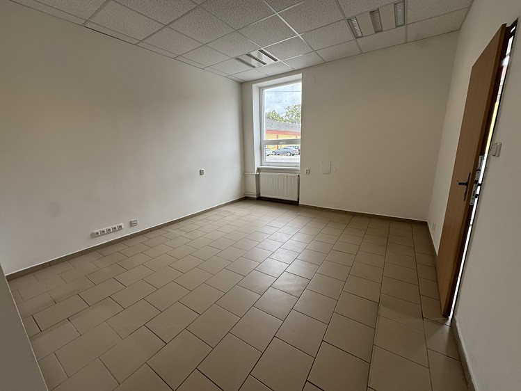 Prodej specifického typu nemovitosti 3 882 m² - foto 8