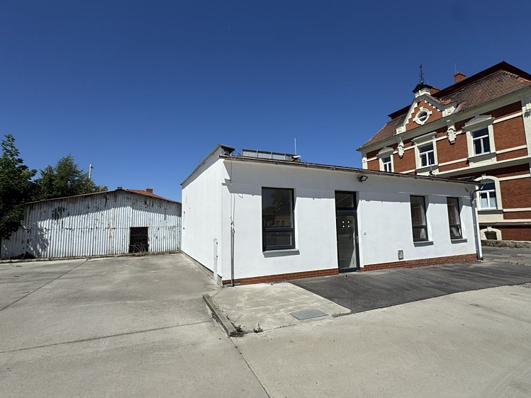 Prodej specifického typu nemovitosti 3 882 m² - foto 6