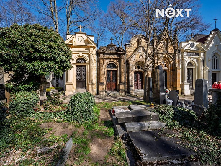 Prodej specifického typu nemovitosti 26 m² - foto 5