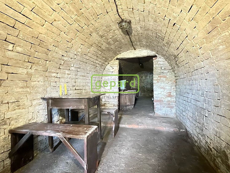 Prodej vinného sklepa 31 m² - foto 7