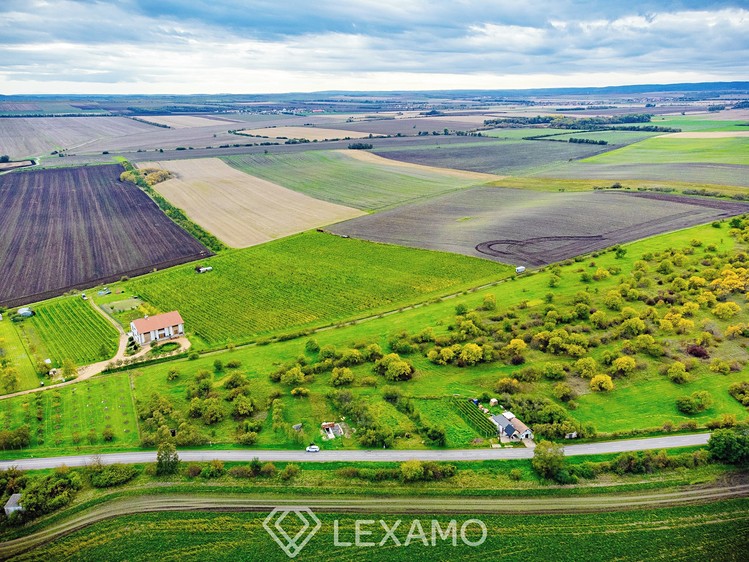 Prodej vinného sklepa 341 m² - foto 5