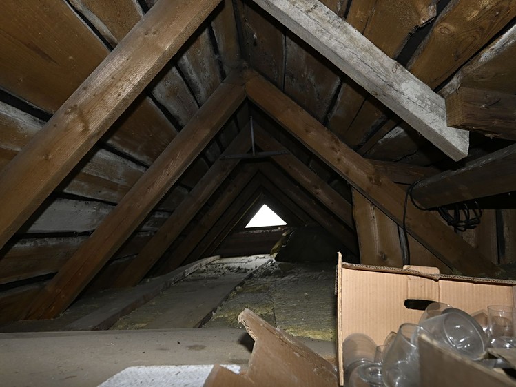 Dražba specifického typu nemovitosti 110 m² - foto 6
