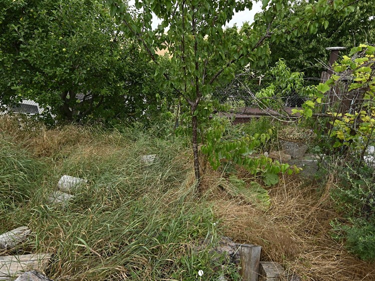 Dražba specifického typu nemovitosti 110 m² - foto 8