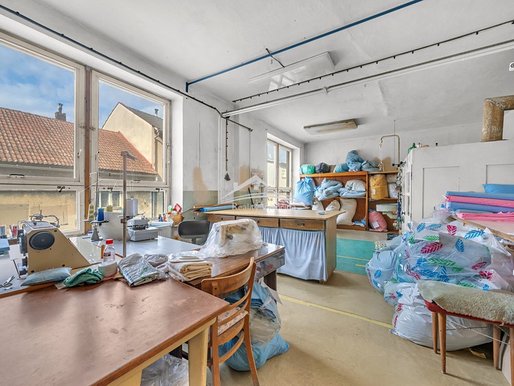 Prodej specifického typu nemovitosti 750 m² - foto 6