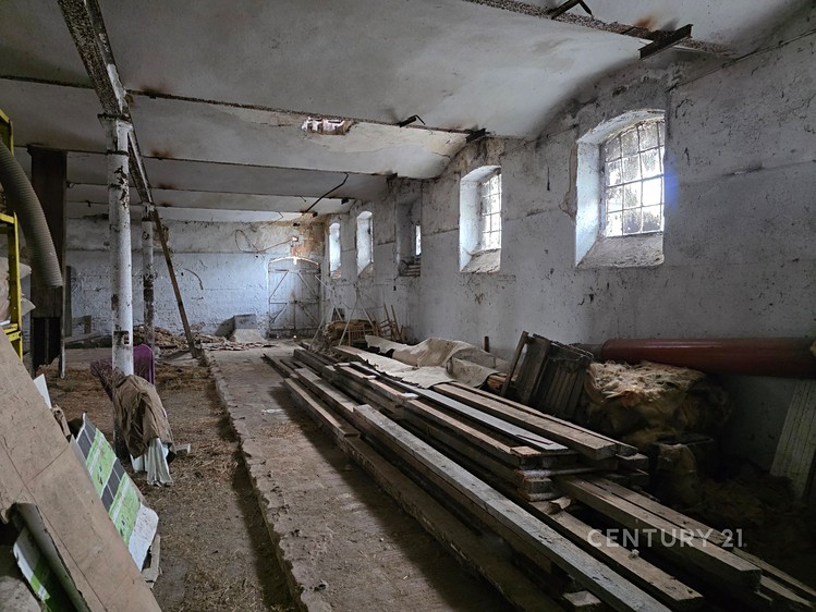 Prodej specifického typu nemovitosti 1 500 m² - foto 5