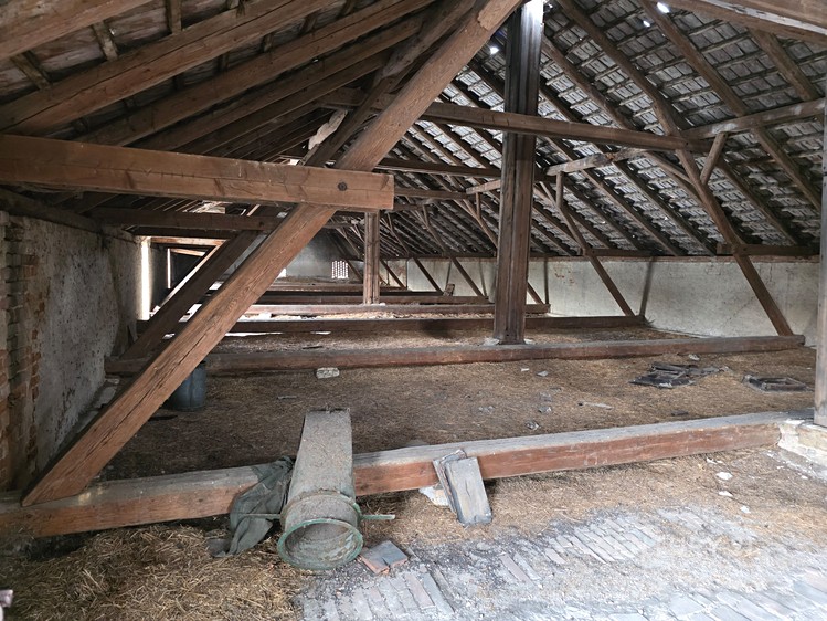 Prodej specifického typu nemovitosti 1 500 m² - foto 6