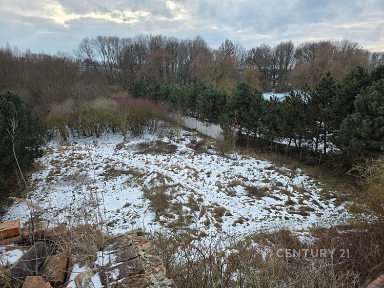 Prodej specifického typu nemovitosti 1 500 m² - foto 8