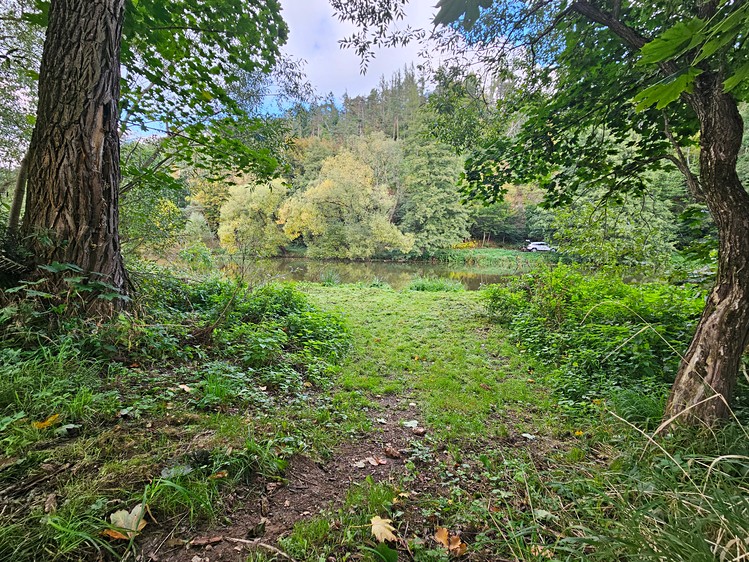 Prodej specifického typu nemovitosti 35 m² - foto 8