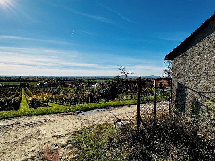 Prodej vinného sklepa 100 m² - foto 1