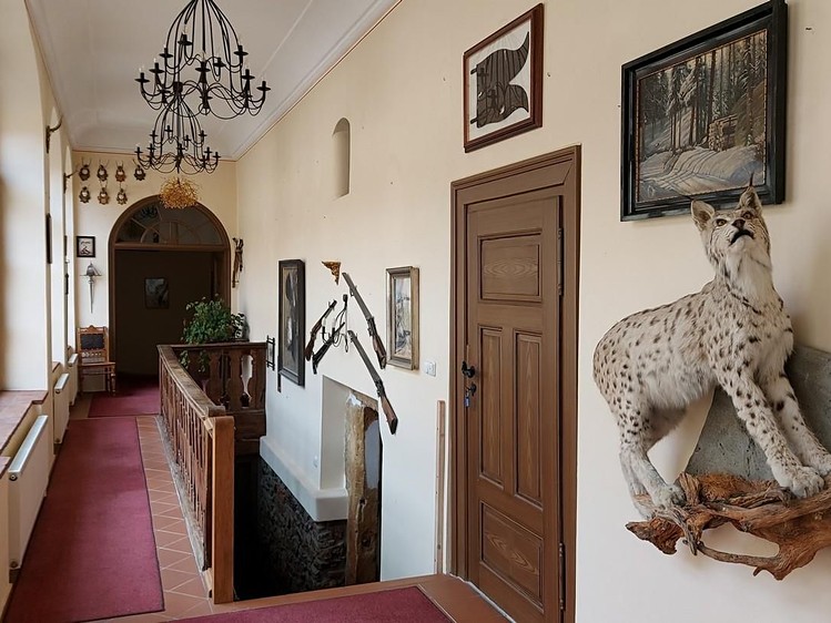 Prodej specifického typu nemovitosti 2 500 m² - foto 6
