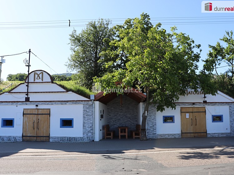 Prodej vinného sklepa 165 m² - foto 1
