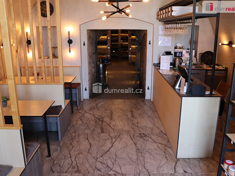 Prodej vinného sklepa 165 m² - foto 7