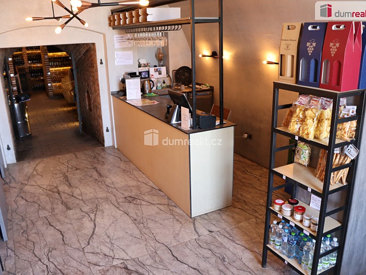 Prodej vinného sklepa 165 m² - foto 6