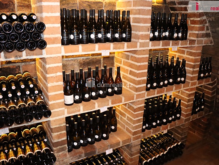 Prodej vinného sklepa 165 m² - foto 5