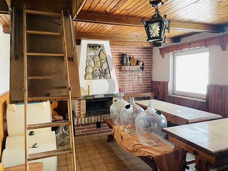 Prodej vinného sklepa 37 m² - foto 6