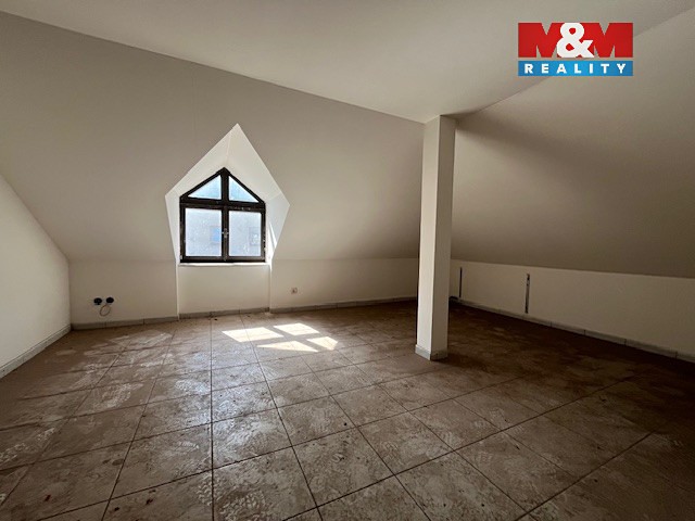 Prodej specifického typu nemovitosti 180 m² - foto 6