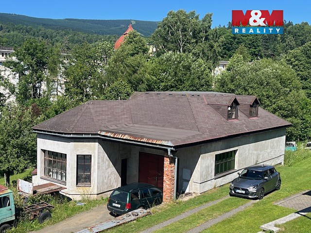 Prodej specifického typu nemovitosti 180 m² - foto 8