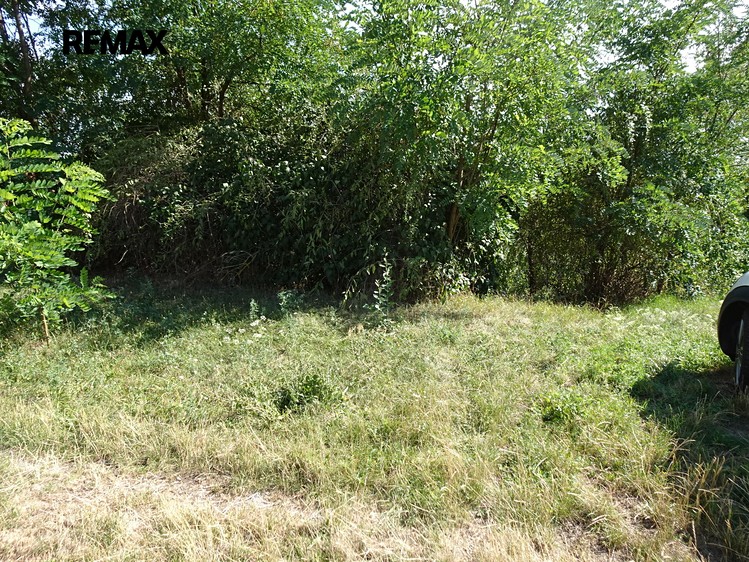 Prodej vinného sklepa 30 m² - foto 5