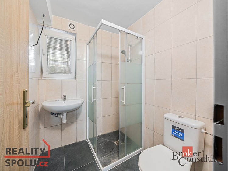 Pronájem specifického typu nemovitosti 110 m² - foto 8