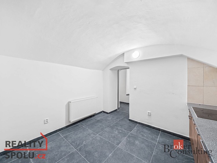 Pronájem specifického typu nemovitosti 110 m² - foto 7