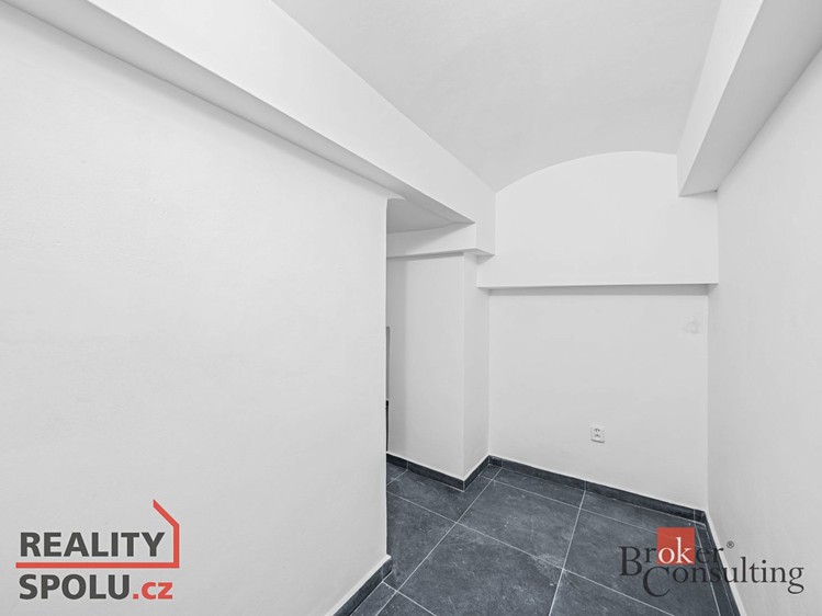Pronájem specifického typu nemovitosti 110 m² - foto 5