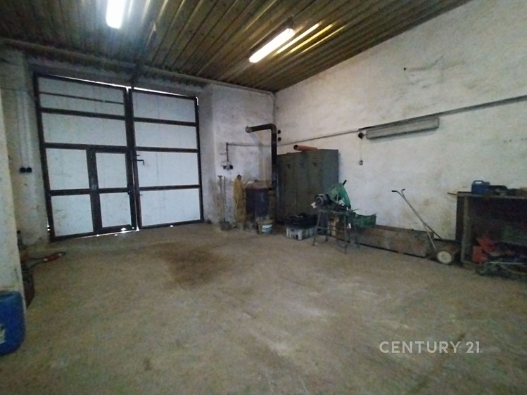 Pronájem specifického typu nemovitosti 375 m² - foto 4