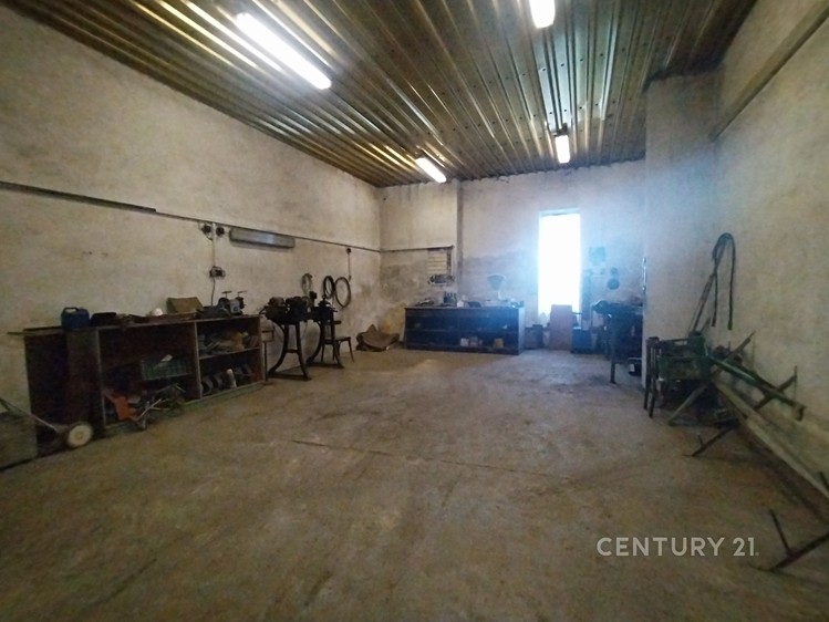 Pronájem specifického typu nemovitosti 375 m² - foto 3