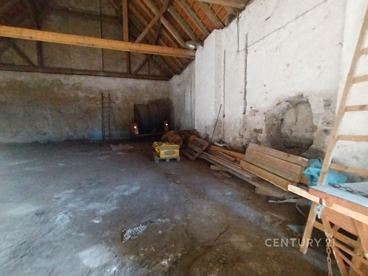 Pronájem specifického typu nemovitosti 375 m² - foto 6
