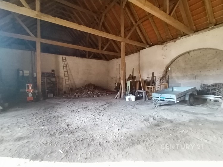 Pronájem specifického typu nemovitosti 375 m² - foto 5
