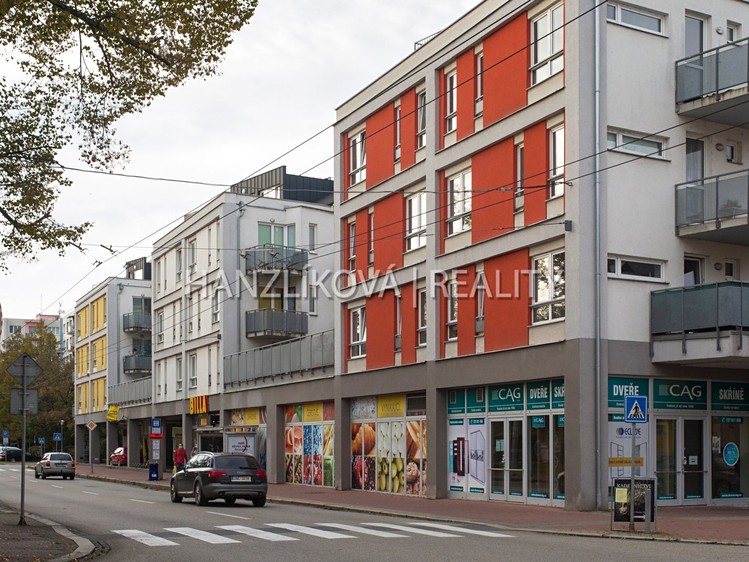 Pronájem garážového stání 18 m² - foto 3