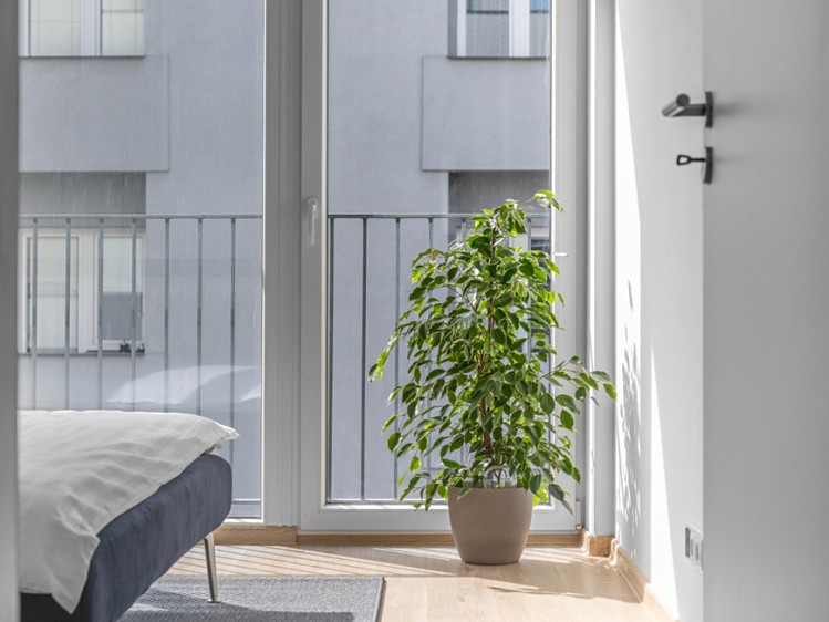 Prodej bytu 2+kk 52 m² - foto 6