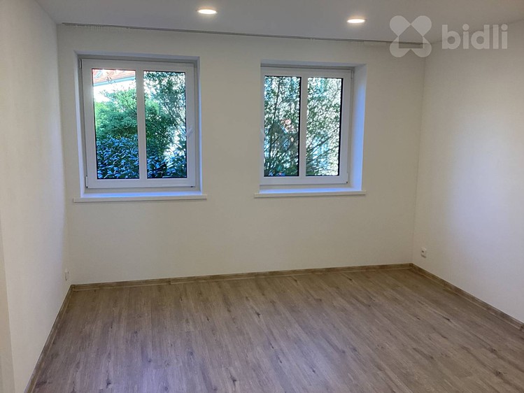 Pronájem bytu 3+1 53 m² - foto 8