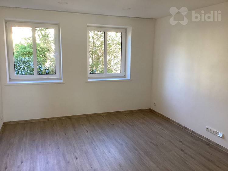 Pronájem bytu 3+1 53 m² - foto 6