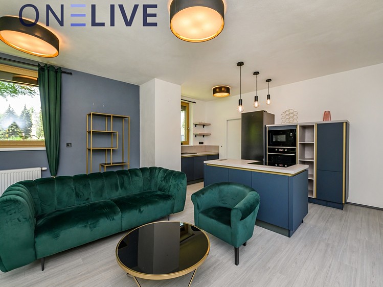 Pronájem bytu 2+kk 67 m² (Jednopodlažní) - foto 6