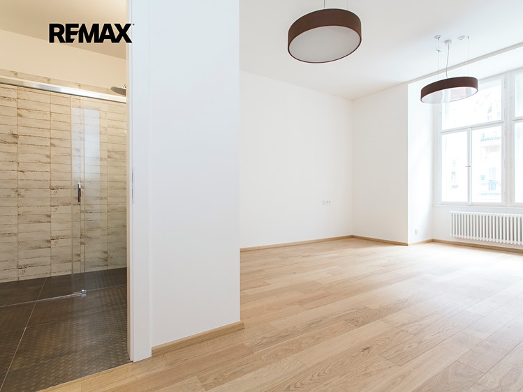 Pronájem bytu 4+kk 164 m² (Jednopodlažní) - foto 8