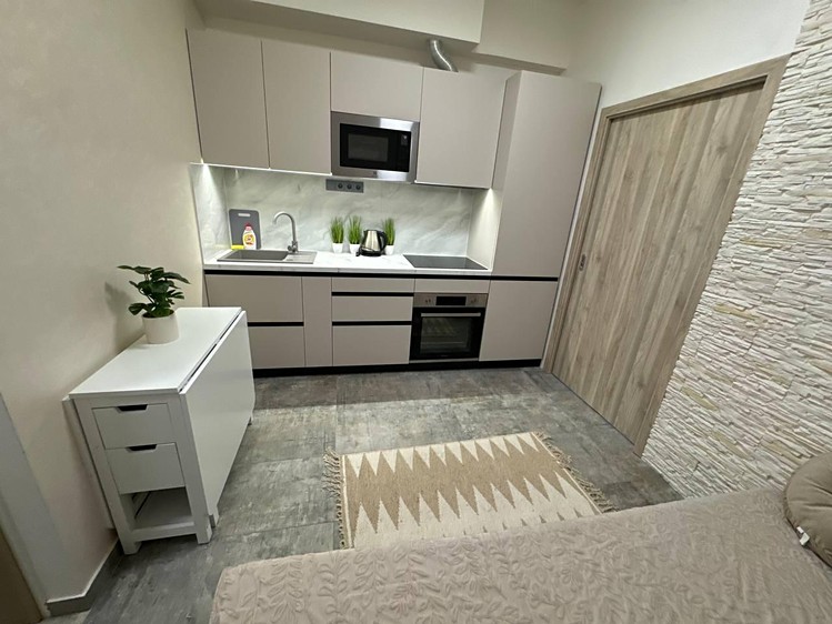 Pronájem bytu 2+kk 20 m² (Jednopodlažní) - foto 1