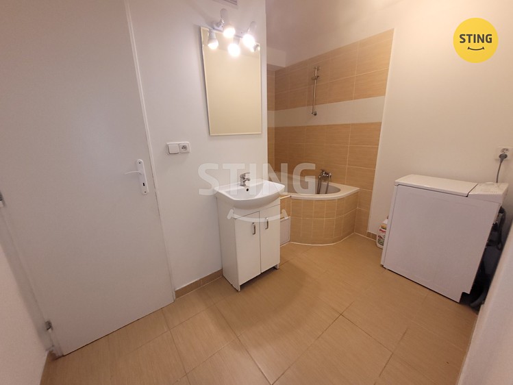 Pronájem bytu 1+1 47 m² - foto 5