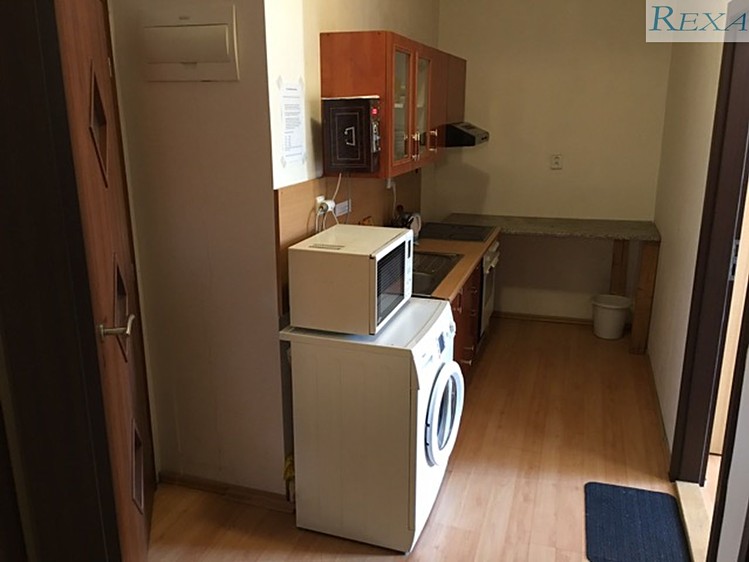 Pronájem bytu 2+1 45 m² - foto 8