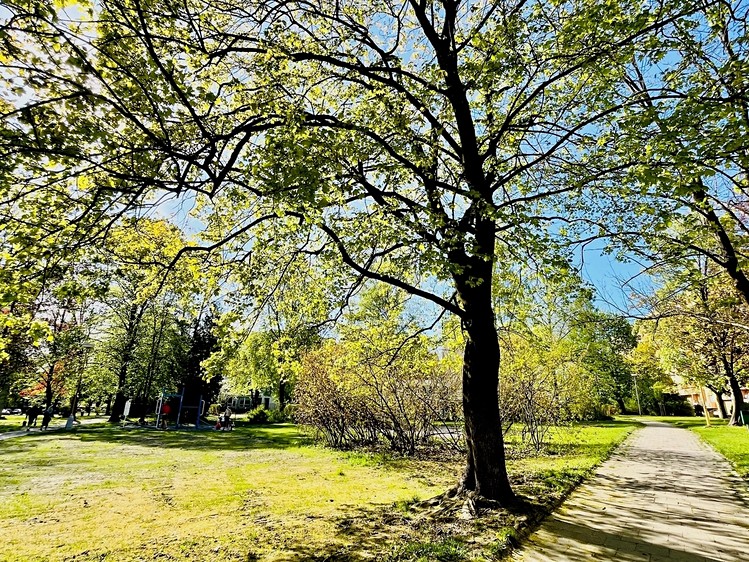 Prodej bytu 2+1 48 m² - foto 4