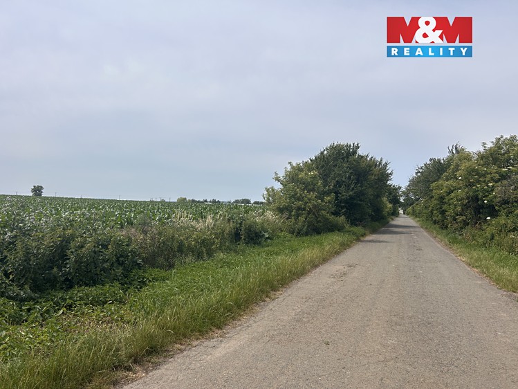 Prodej pole 8 491 m² - foto 4