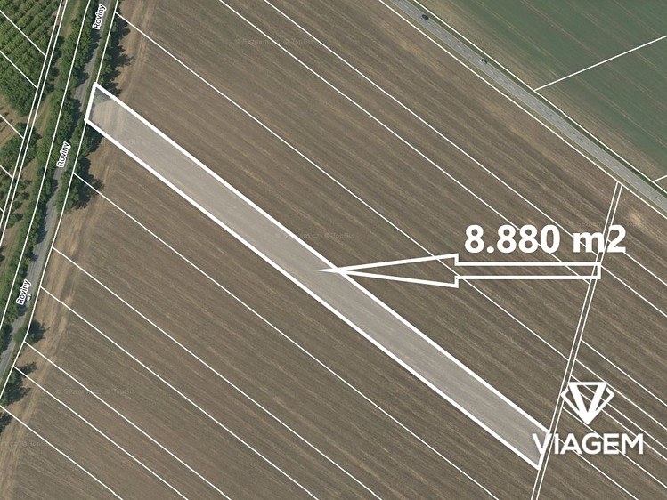 Prodej podílu 1/4 pole 2 220 m² - foto 1
