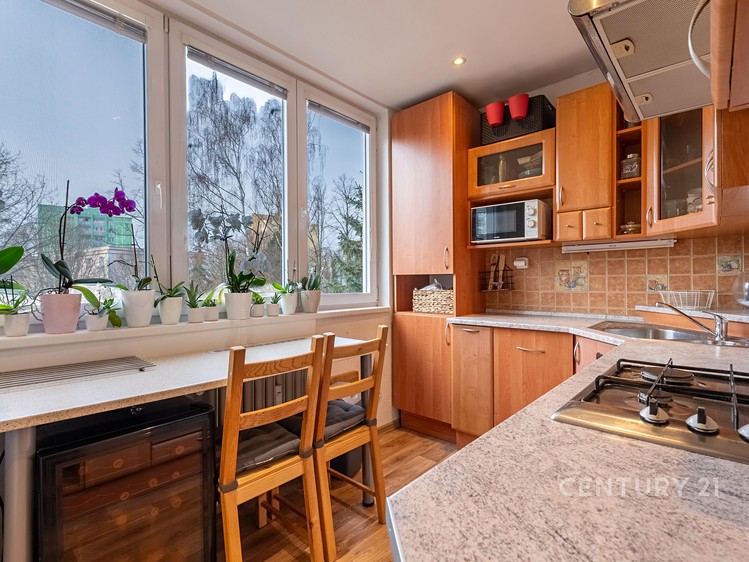 Prodej bytu 3+1 54 m² - foto 4
