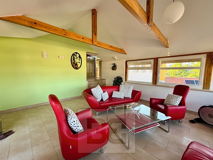 Pronájem bytu 4+kk 195 m² (Podkrovní) - foto 8