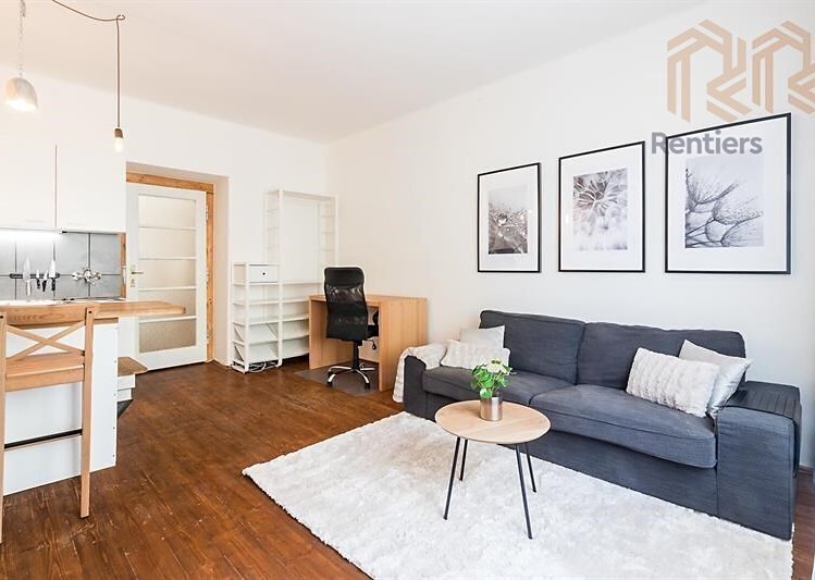 Pronájem bytu 1+kk 30 m² - foto 2
