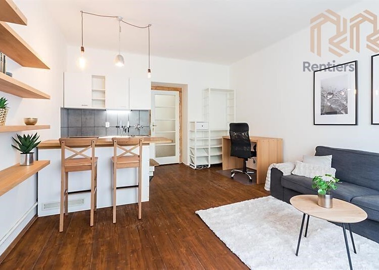 Pronájem bytu 1+kk 30 m² - foto 1