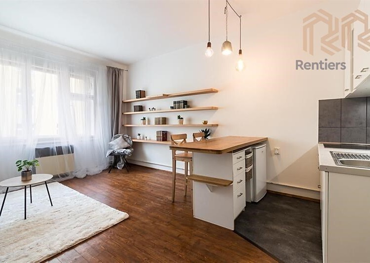 Pronájem bytu 1+kk 30 m² - foto 4