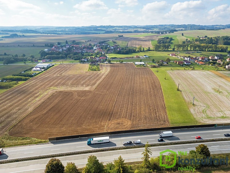 Prodej stavebního pozemku 5 000 m² - foto 6