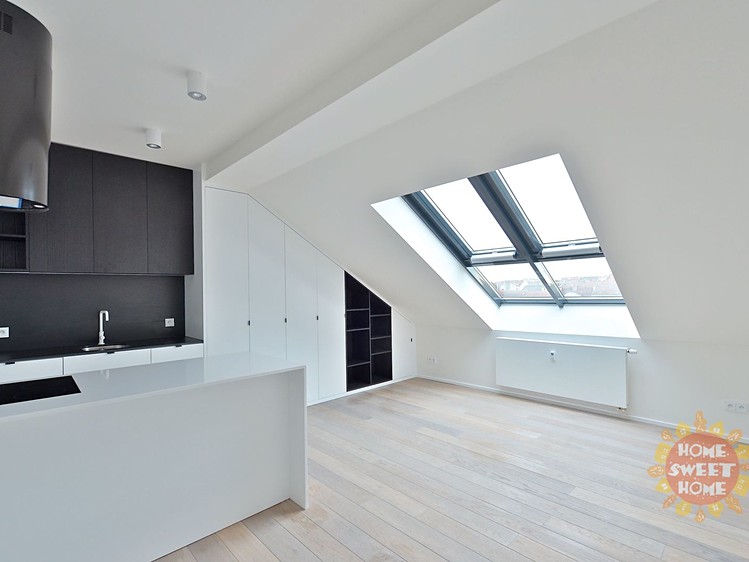 Pronájem bytu 1+kk 39 m² (Podkrovní) - foto 1
